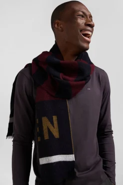Burgundy striped scarf
