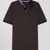 Regular brown short-sleeved cotton piqué polo shirt