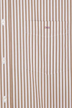 Regular brown striped cotton poplin shirt