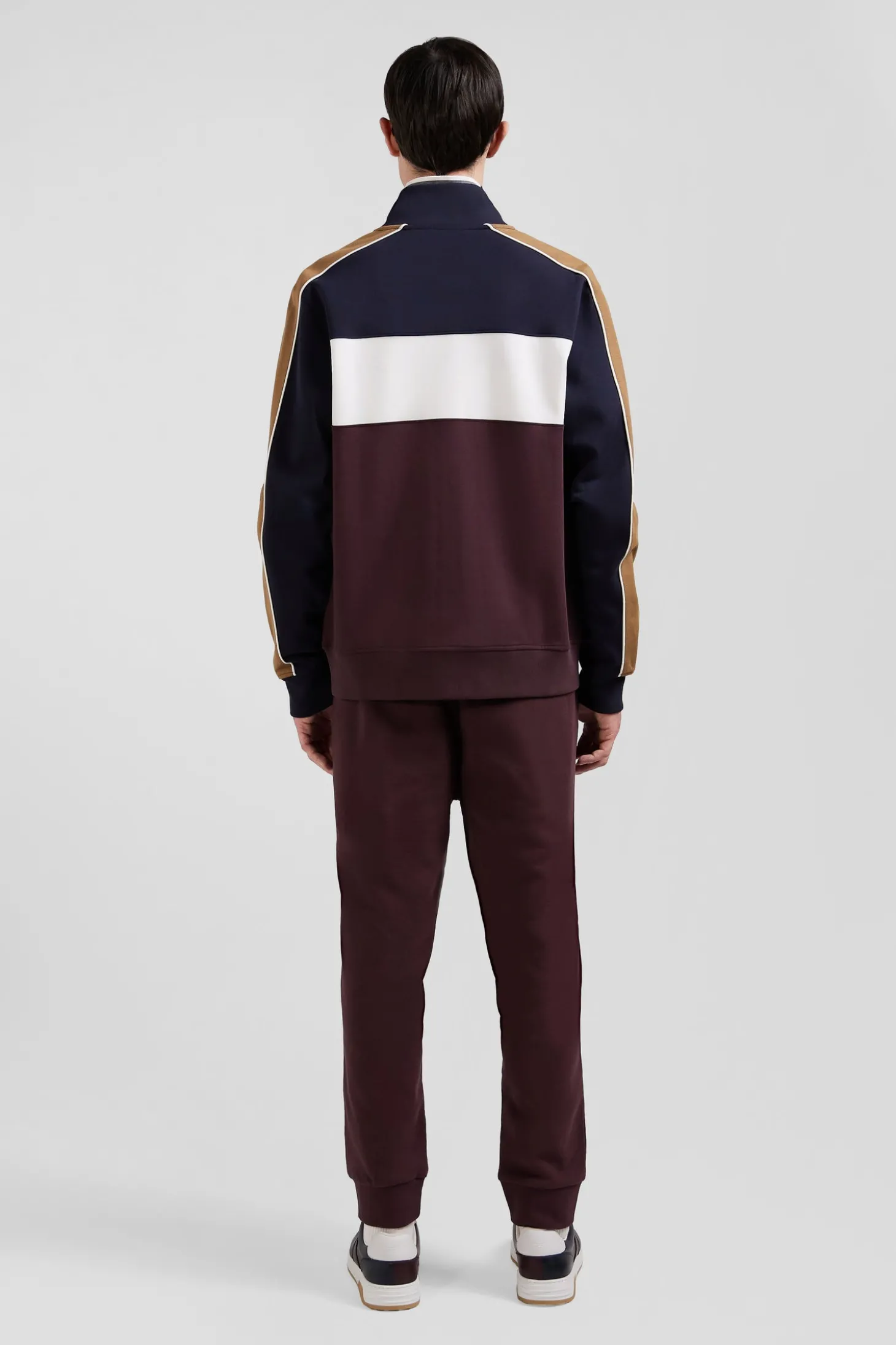 Regular burgundy colorblock zipped cotton blend sweatshirt