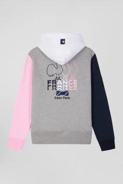 Regular grey colorblock XV de France cotton hoodie
