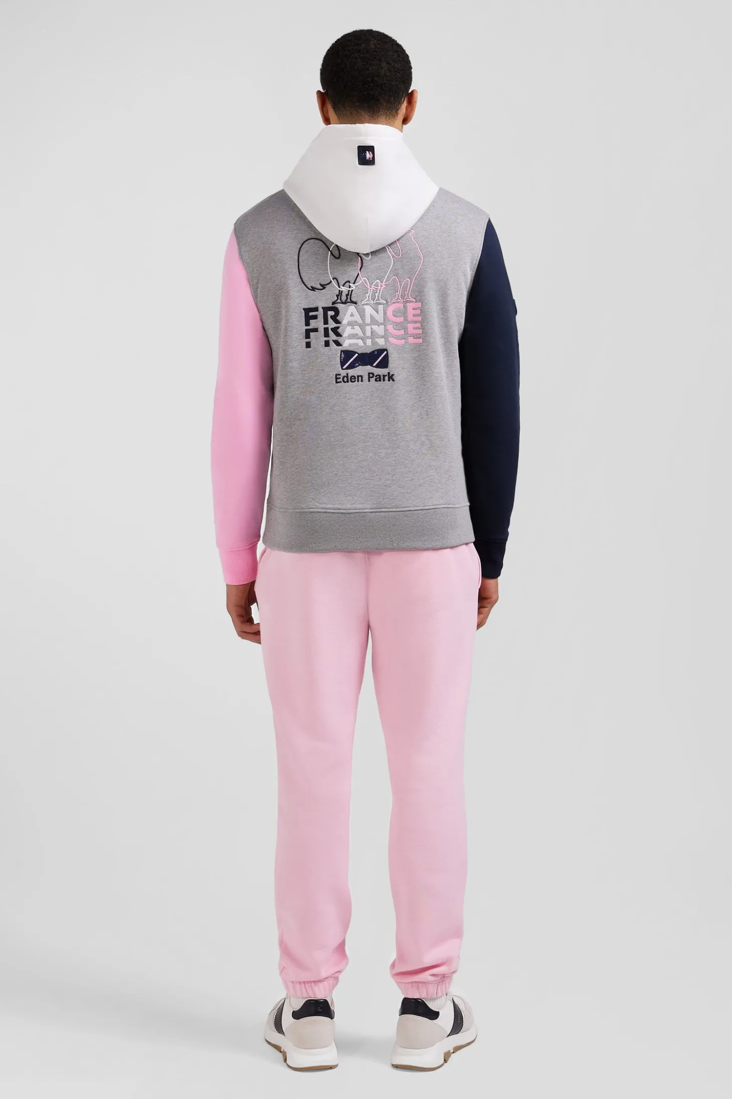 Regular grey colorblock XV de France cotton hoodie