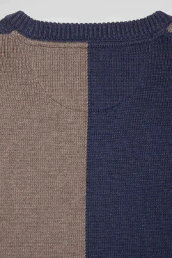 Regular navy and brown colourblock cotton crew neck jumper