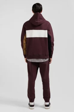 Relaxed burgundy colorblock cotton hoodie