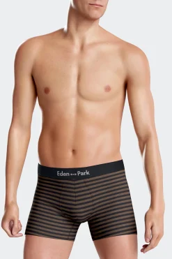 Set of 2 brown and striped stretch cotton boxers