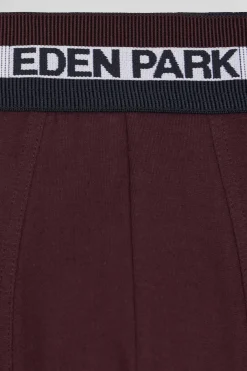 Set of 2 burgundy stretch cotton boxers with tricolor waistband