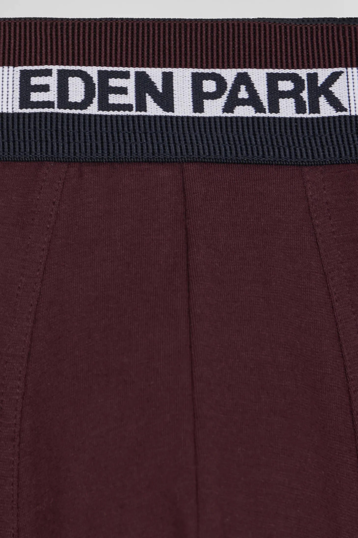 Set of 2 burgundy stretch cotton boxers with tricolor waistband