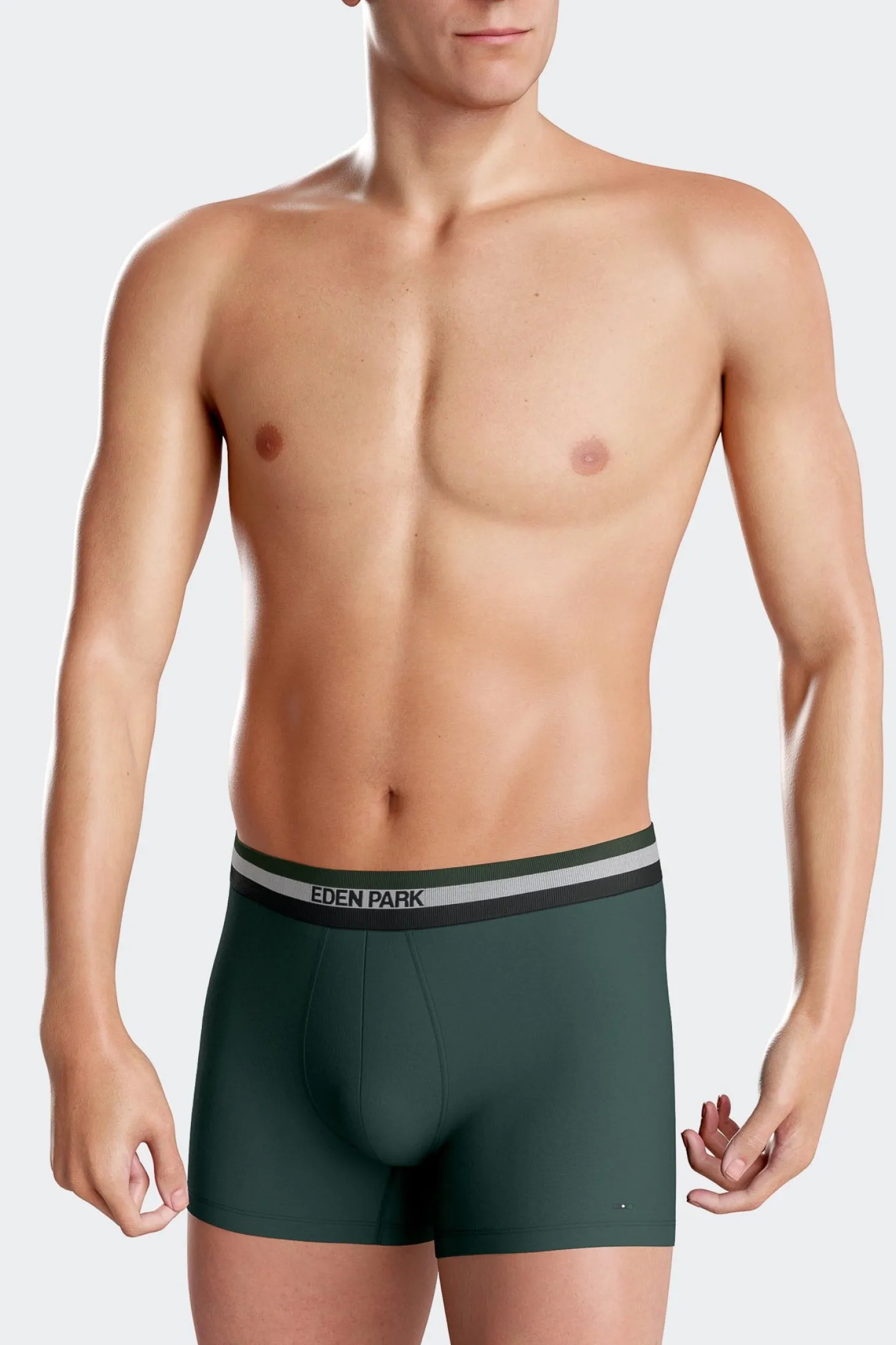 Set of 2 green stretch cotton boxers with tricolor waistband