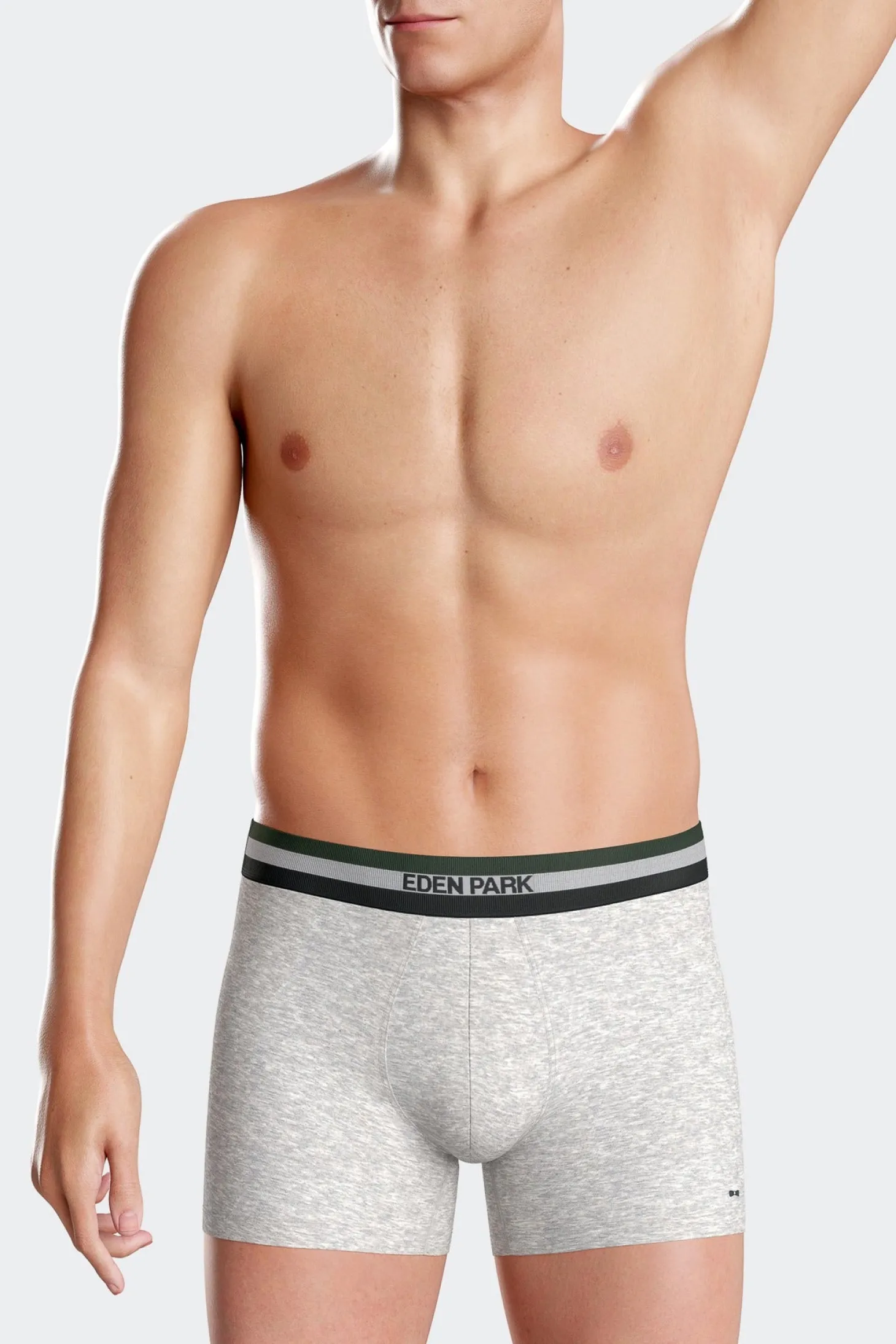 Set of 2 grey stretch cotton boxers with tricolor waistband