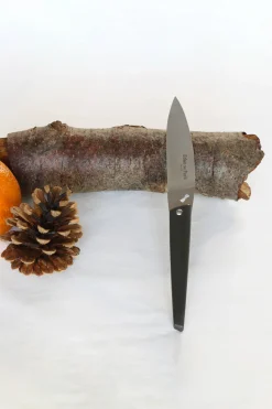 Set of 6 meat knives