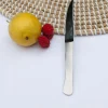 Set of 6 stainless steel table knives