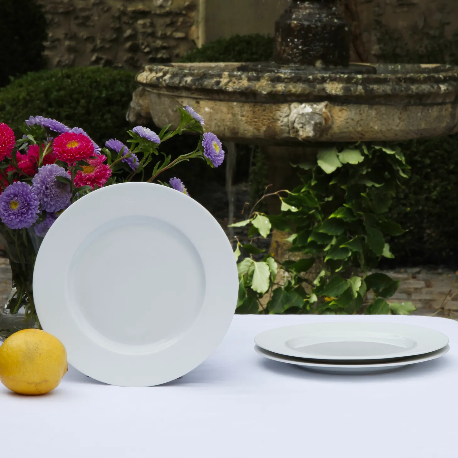Set of 6 White Limoges porcelain plates