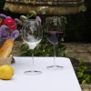 Wine glass